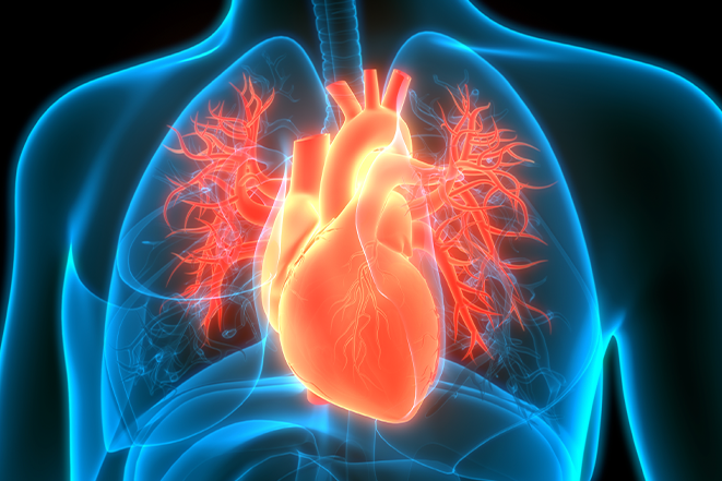 Heart Care | The Cardiac & Vascular Institute